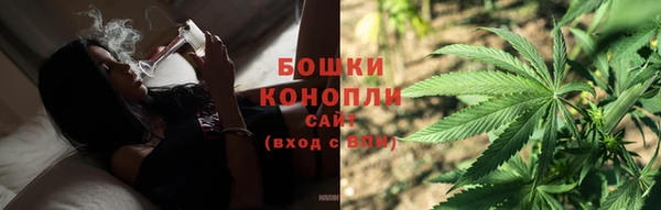 сатива Богородицк