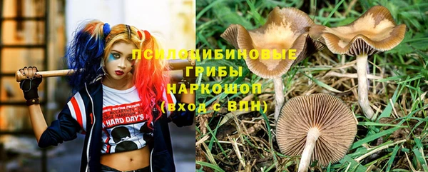 сатива Богородицк