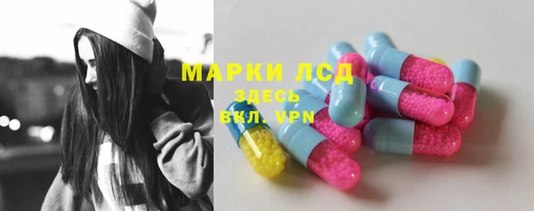 сатива Богородицк