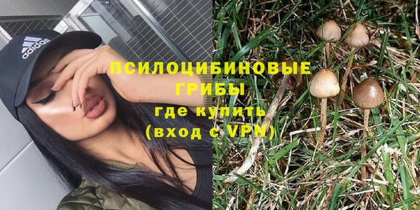 каннабис Богданович