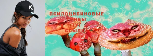 каннабис Богданович
