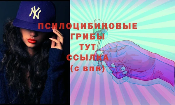 меф Богородск