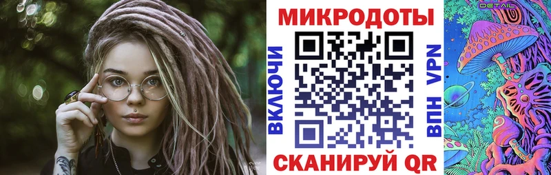Галлюциногенные грибы Psilocybine cubensis  Новая Усмань 